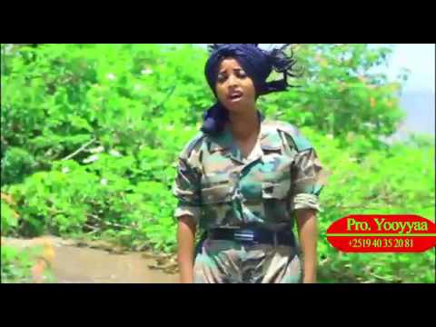 Yaraabii koo sabaa oroomo nuubiliisomisi