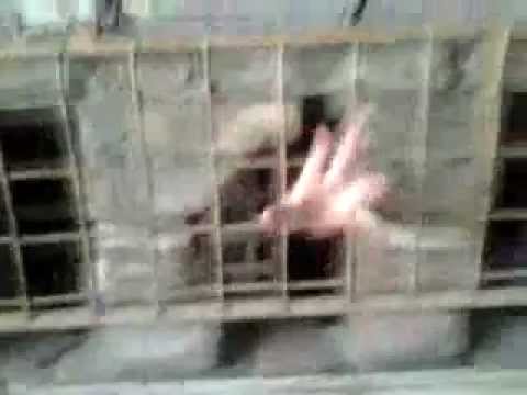 Rebel Mike Nike-L'attacco zombie