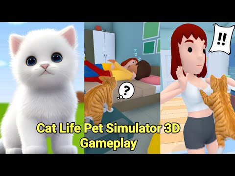 Cat Life Pet Simulator 3D Game Gameplay - YouTube