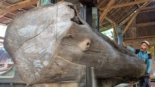 sawing of dry teak logs full of expensive quality fibers at the sawmill
