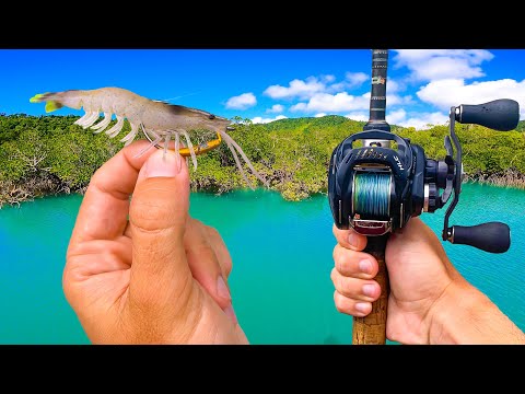 This Technique Catches Fish Too Easily!