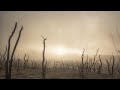 Jeremiah Postrock Instrumental Alternativerock