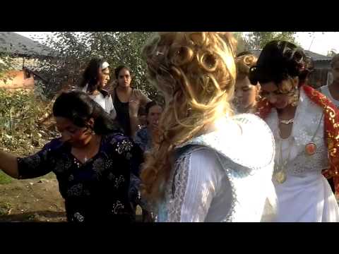 novi sad kanagjegji 2013