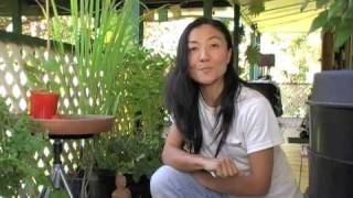 Give It A Go - Part 2 - Balcony Gardening