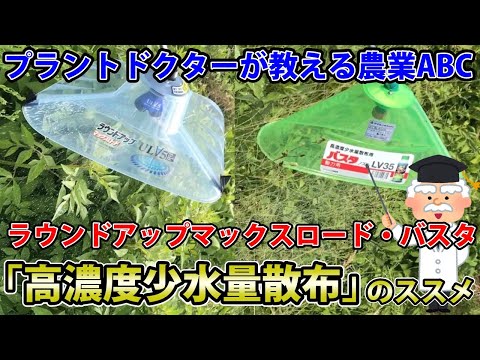 ラウンドアップに代わる除草剤はどれ？環境に優しく効果的な 10 のオプション  庭園