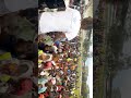 Narok Splash4 Tribute To Jemo