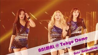 Animal - Girls&#39; Generation - Live at Tokyo Dome