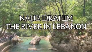 NAHR IBRAHIM A SMALL RIVER IN THE KESERWAN JBEIL LEBANON
