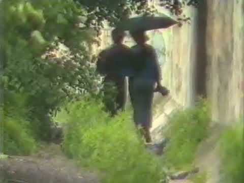 Bettina Wegner - Heimweh nach Heimat (1985)