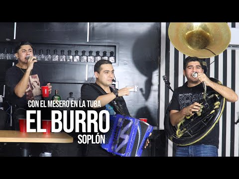 El Burro Soplon Con la TUBA DEL MESERO - Grupo Resguardo