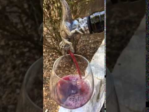 Dinosaur wine pourer pouring example