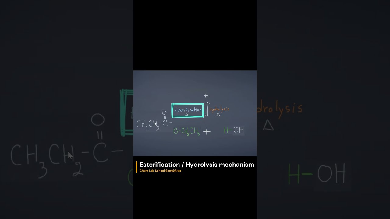 Organic Chemistry เคมีอินทรีย์ | Esterification & Hydrolysis