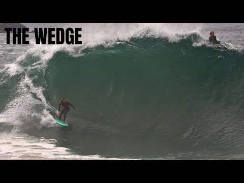 THE WEDGE IS BACK and its PUMPING | RAW | 2024 |
