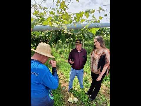 União que Gera Desenvolvimento: Fatima Castro articula reunião histórica em Cerro Azul