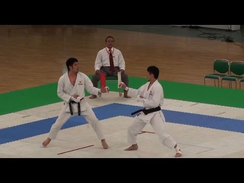 2014 The 13th Funakoshi Gichin Cup - Men Kumite Finals