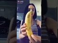Hot Girls Tik Tok Video Hot Hindi Kannada Bollywood Sexy