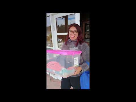 Esterilización en la comuna de Quinchao