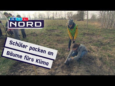 Gegen den Klimawandel: Burgwedeler Schulen pflanzen einen Wald