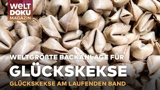 GLÜCKSKEKSE AM LAUFENDEN BAND: Zu Besuch in der weltweit größten Glückskeks-Backanlage WELT Magazin