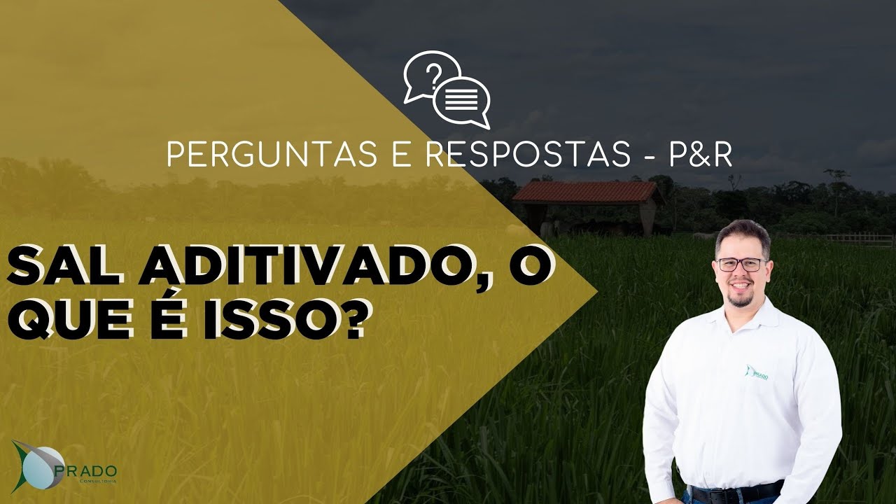 O que é o SAL MINERAL ADITIVADO?