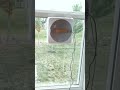 The Winbot W1 Pro: The Ultimate Window Cleaning Solution!