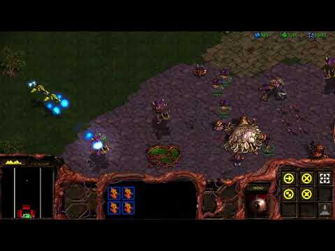 Obscura spielt... StarCraft #20: Wir sind nicht aufzuhalten