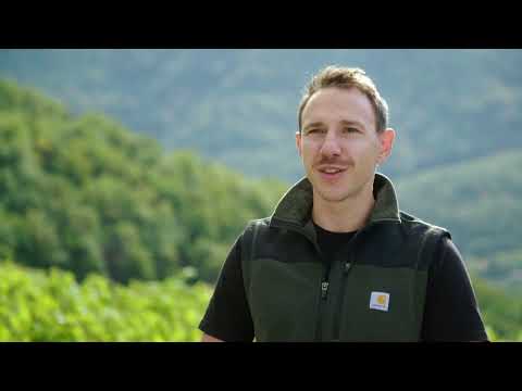 40 Jahre Vinea Wachau: Kulturlandschaft Wachau