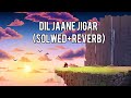 dil jaane jigar (solwed+reverb)Song by #Alka Yagnik and #Kumar Sanu