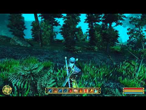 Let's Play Gothic 3 - 263 Vertäumtes kleines Nemora