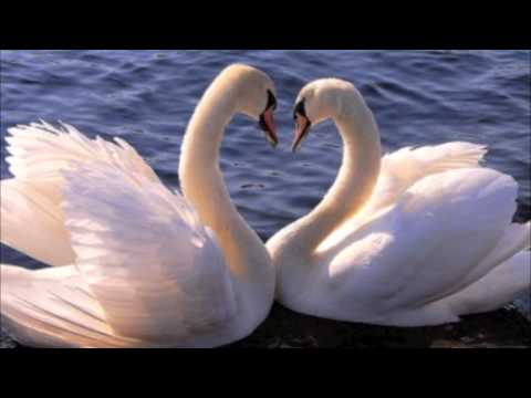 Mounir connected ik liet je gaan