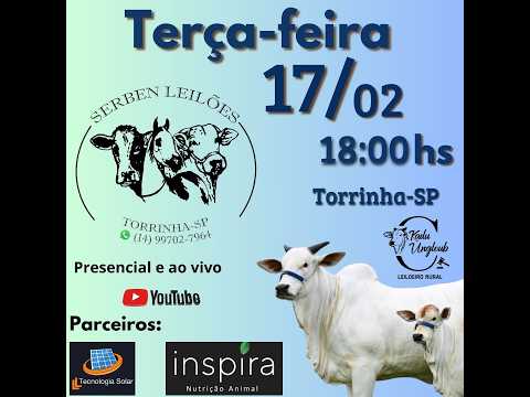 SERBEN LEILÕES - LEILÃO DE GADO- 17/02 - TORRINHA / SP