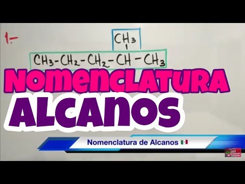 download lagu mp3 mp4 Ramificaciones, download lagu Ramificaciones gratis, unduh video klip Ramificaciones