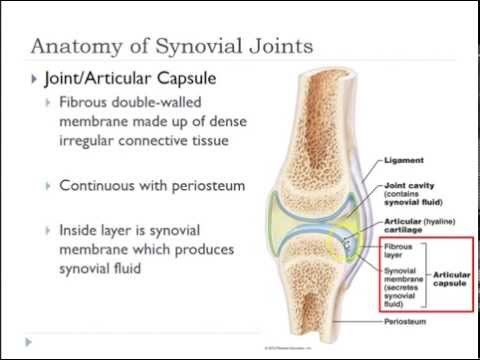 Artroza genunchiului drept și stâng