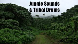 Jungle Sounds & Tribal Drums - Sleep - Relax - Chill - Meditate