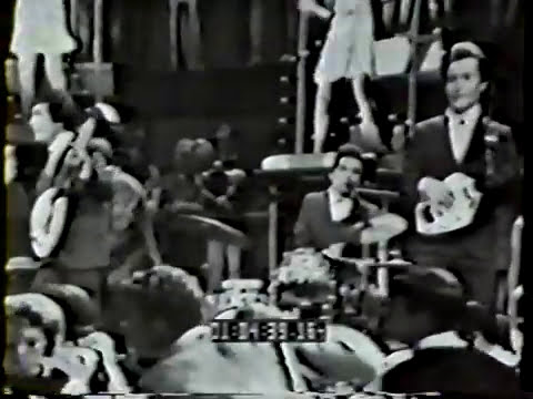 Copy of Dick Dodd, Tony Valentino and The Standells on Shivaree