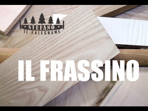 IL FRASSINO - Enciclopedia del legno