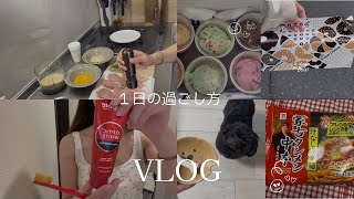 同棲二人暮らしと犬一匹生活のリアルな一日vlog