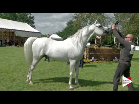 Strohen 2016 - Class 14