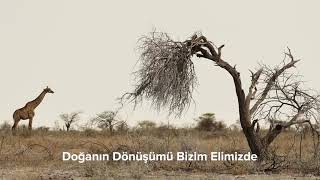 Doğa Dostu Firma