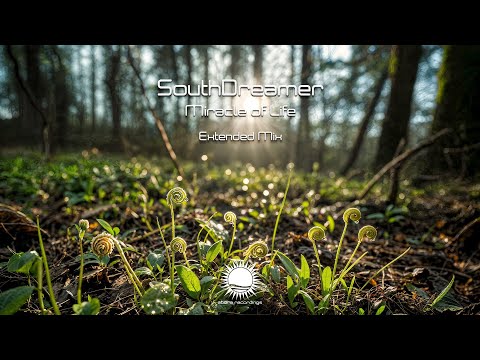 SouthDreamer - Miracle of Life (Extended Mix)