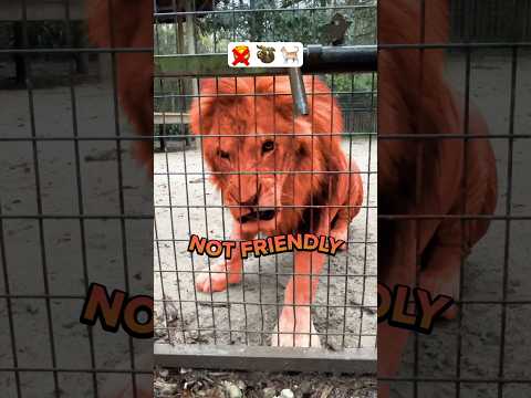 Friendly or Not Friendly?