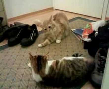 Eemeli & Ulla part 2