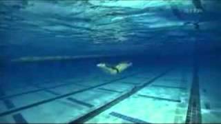 Portion Reform - Shrine (Downwards 1998)