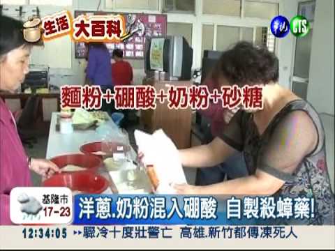 小強的剋星! 自製洋蔥殺蟑藥