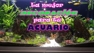 🤔Cómo DECORAR nuestro PRIMER acuario❓ {NUNCA VISTOS}!!