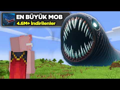 Minecraft'ta EN BÜYÜK MOB'LARI Test Ettim... 2