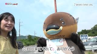 2026/8/4放送・知ったかぶりカイツブリにゅーす