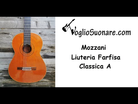 Guitar L Mozzani Liuteria Farfisa Classica A