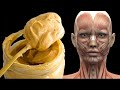 What Happens When You Start Eating Peanut Butter Everyday