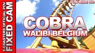 Cobra - Walibi Belgium | On-Ride (ECam HD)
